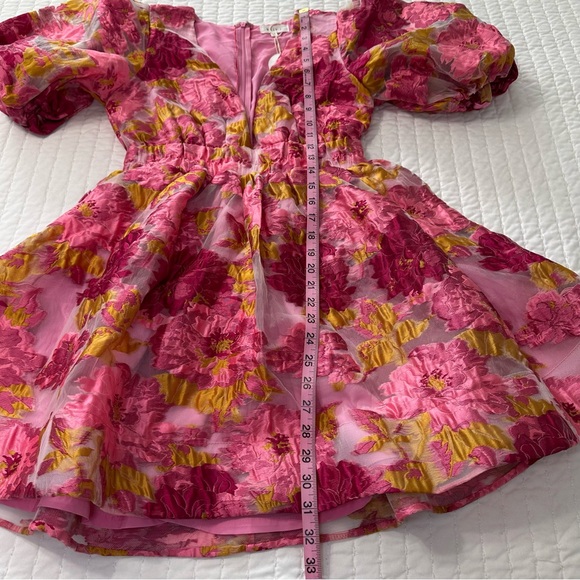 NWT Billy J V-Neckline Floral Puff Sleeve  Abel Mini Dress - Picture 6 of 16